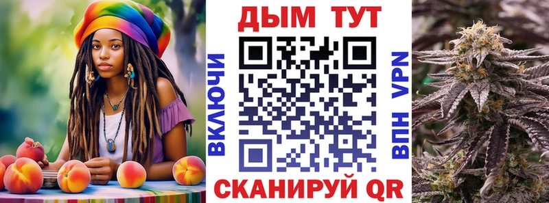 Где найти наркотики Шелехов kraken вход  МЕФ  Псилоцибиновые грибы  A PVP  АМФ 