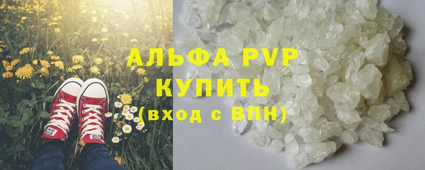 прущая мука Пересвет